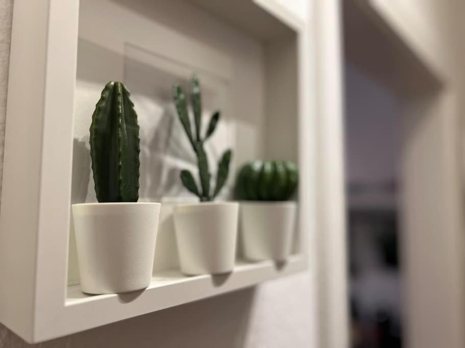 Stadtoase Design Wohnung In Der Altstadt Von Koblenz Coblenza Esterno foto