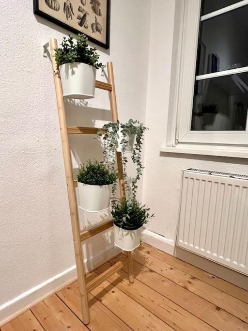 Stadtoase Design Wohnung In Der Altstadt Von Koblenz Coblenza Esterno foto