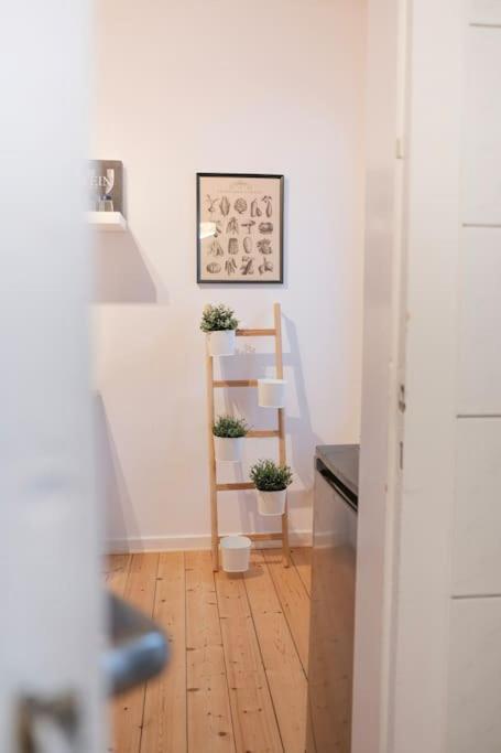 Stadtoase Design Wohnung In Der Altstadt Von Koblenz Coblenza Esterno foto