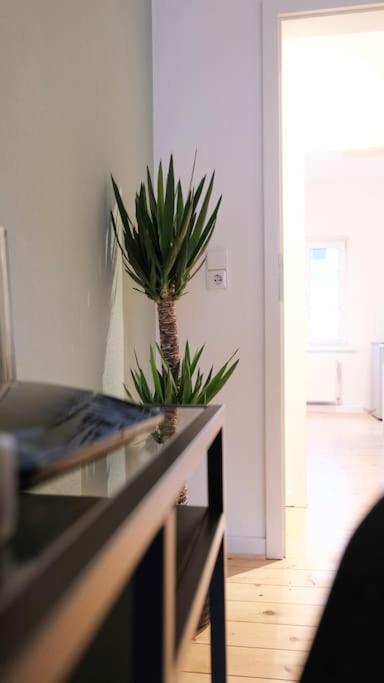 Stadtoase Design Wohnung In Der Altstadt Von Koblenz Coblenza Esterno foto